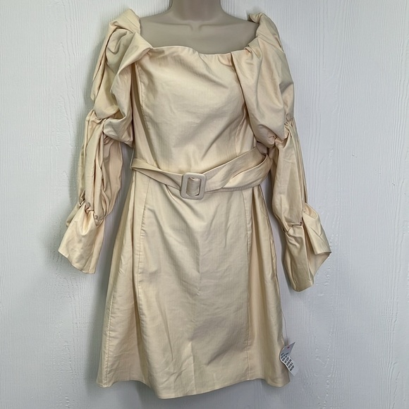 ASOS - NWT Luxe Curve Strength Detachable Belted Extreme Sleeve Dress Size 14 - Picture 3 of 12